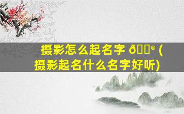 摄影怎么起名字 💮 (摄影起名什么名字好听)